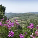 Alojamento de Turismo Rural Borgo Spagnoli *